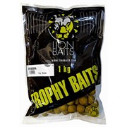 Бойлы тонущие Lion Baits Trophy 20мм Мёд с Клубникой 1кг