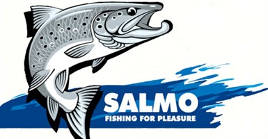 Леска Team Salmo