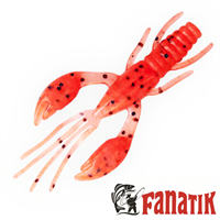 Fanatik RAIDER 2,2&quot;