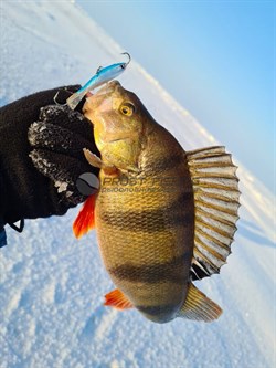 Балансир Lucky John NORDIC 4 / 40мм / 15H - фото 23408