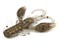 Твистеры съедобные LJ Pro Series ROCK CRAW 2.8in(07.20)/S02 6шт. - фото 19276